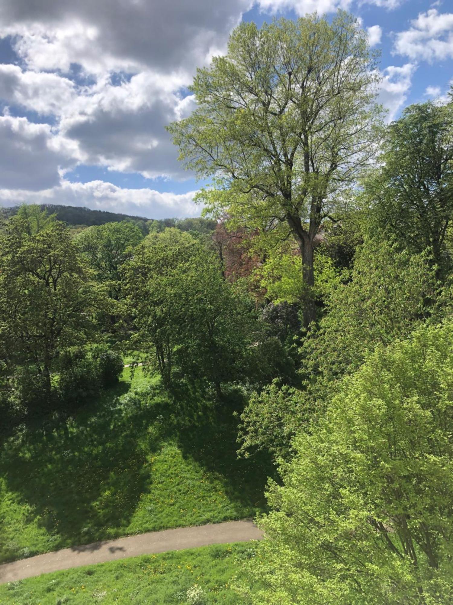 Mit Parkblick Homestay
